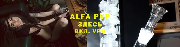 дживик Вязьма