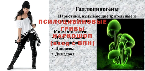 гидропоника Вязники