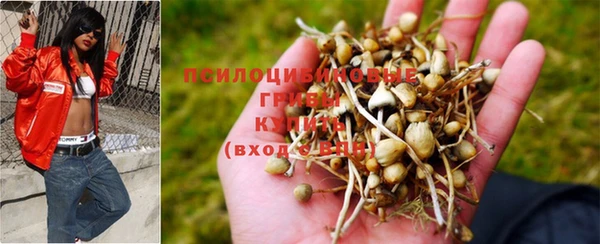 гидропоника Вязники