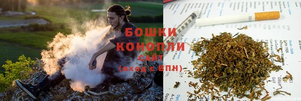 дживик Вязьма