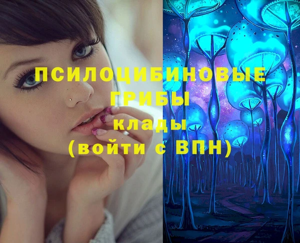 дживик Вязьма