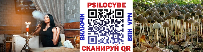 Купить закладки  Клинцы  Псилоцибиновые грибы Psilocybe 